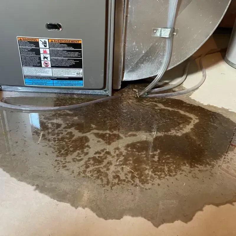 Appliance Leak Cleanup in Forest Hill, TX